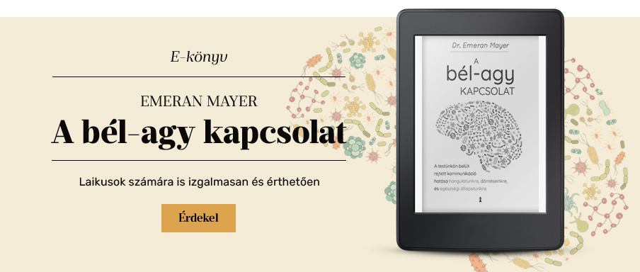 A bl-agy kapcsolat