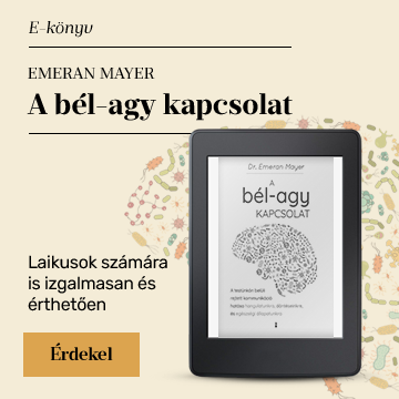 A bl-agy kapcsolat