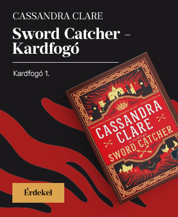 Sword Catcher - Kardfog