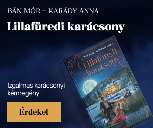 Bn Mr - Kardy Anna: Lillafredi karcsony